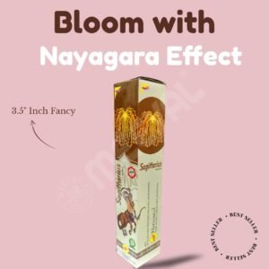 Sagittarius-1Pc/Box-3.5"Fancy - Image 2